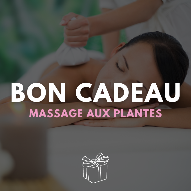bons-cadeaux-massage-thai.jpg carte cadeau massage avec compresses chaudes aux plantes orientales